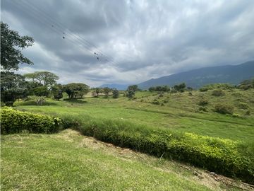 Venta de Finca Tipica Sembrada en Banano Aguacate Yuca Calarcá