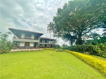 Venta de Finca Tipica Sembrada en Banano Aguacate Yuca Calarcá
