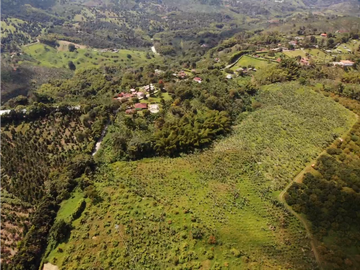 Venta de Finca Tipica Sembrada en Banano Aguacate Yuca Calarcá