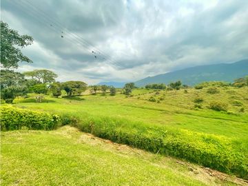 Venta de Finca Tipica Sembrada en Banano Aguacate Yuca Calarcá