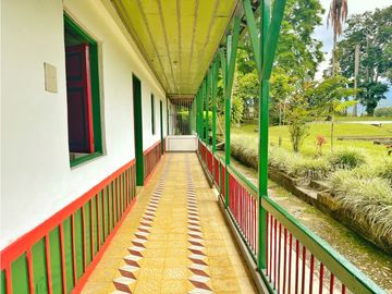 Venta de Finca Tipica Sembrada en Banano Aguacate Yuca Calarcá
