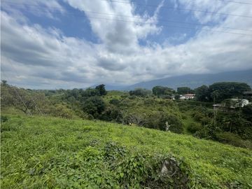 Venta de Finca Tipica Sembrada en Banano Aguacate Yuca Calarcá
