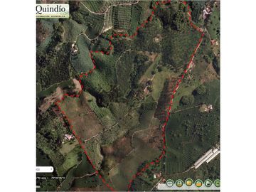 Venta de Finca Tipica Sembrada en Banano Aguacate Yuca Calarcá
