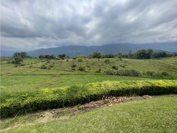 Venta de Finca Tipica Sembrada en Banano Aguacate Yuca Calarcá