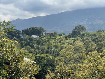 Venta de Finca Tipica Sembrada en Banano Aguacate Yuca Calarcá