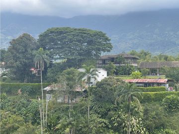 Venta de Finca Tipica Sembrada en Banano Aguacate Yuca Calarcá