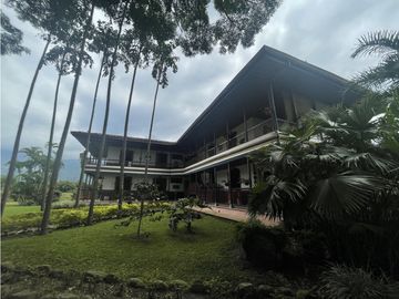 Venta de Finca Tipica Sembrada en Banano Aguacate Yuca Calarcá