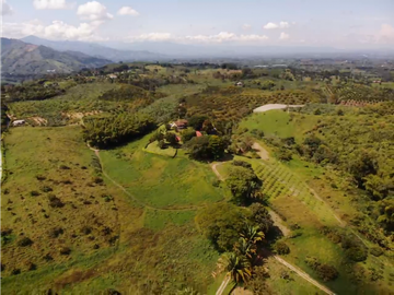 Venta de Finca Tipica Sembrada en Banano Aguacate Yuca Calarcá