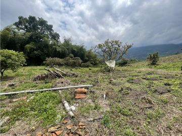 Venta de Finca Tipica Sembrada en Banano Aguacate Yuca Calarcá