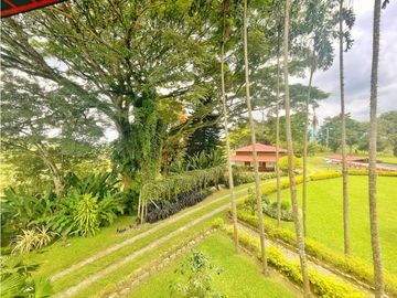 Venta de Finca Tipica Sembrada en Banano Aguacate Yuca Calarcá