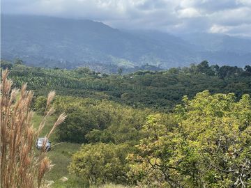 Venta de Finca Tipica Sembrada en Banano Aguacate Yuca Calarcá