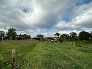Finca Cafetera A La venta Vereda La Cristalina Circasia Armenia
