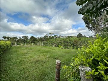 Finca Cafetera A La venta Vereda La Cristalina Circasia Armenia