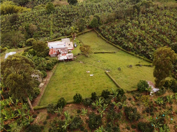 Finca Cafetera A La venta Vereda La Cristalina Circasia Armenia