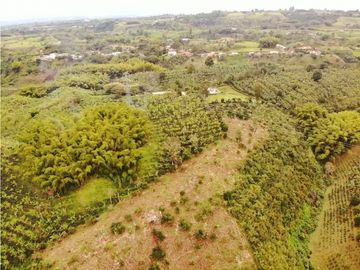 Finca Cafetera A La venta Vereda La Cristalina Circasia Armenia