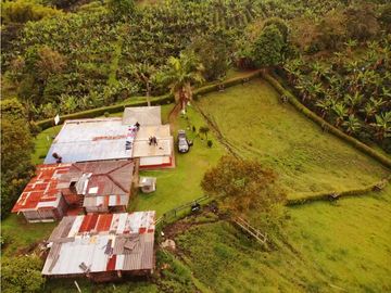 Finca Cafetera A La venta Vereda La Cristalina Circasia Armenia