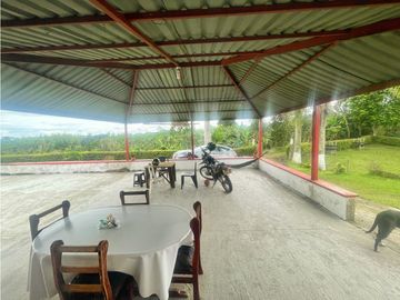 Finca Cafetera A La venta Vereda La Cristalina Circasia Armenia