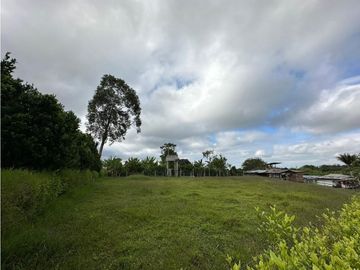 Finca Cafetera A La venta Vereda La Cristalina Circasia Armenia