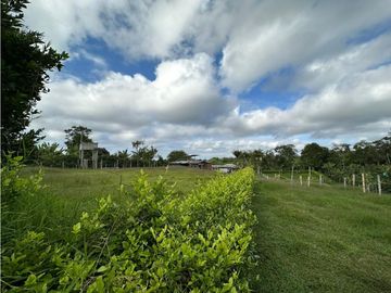 Finca Cafetera A La venta Vereda La Cristalina Circasia Armenia