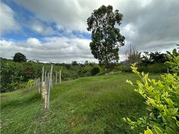 Finca Cafetera A La venta Vereda La Cristalina Circasia Armenia