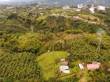 Finca Cafetera A La venta Vereda La Cristalina Circasia Armenia