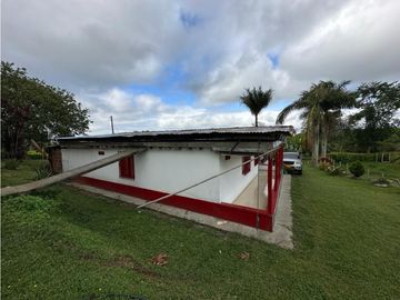 Finca Cafetera A La venta Vereda La Cristalina Circasia Armenia