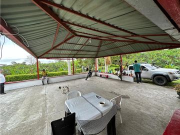 Finca Cafetera A La venta Vereda La Cristalina Circasia Armenia