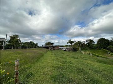 Finca Cafetera A La venta Vereda La Cristalina Circasia Armenia