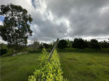 Finca Cafetera A La venta Vereda La Cristalina Circasia Armenia