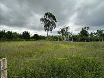 Finca Cafetera A La venta Vereda La Cristalina Circasia Armenia