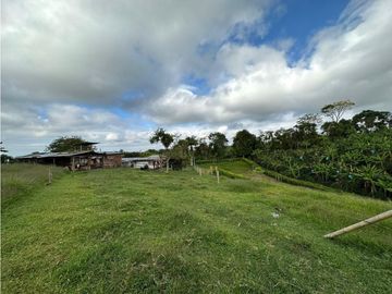 Finca Cafetera A La venta Vereda La Cristalina Circasia Armenia