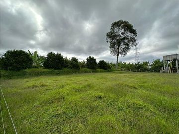 Finca Cafetera A La venta Vereda La Cristalina Circasia Armenia