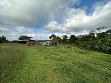 Finca Cafetera A La venta Vereda La Cristalina Circasia Armenia