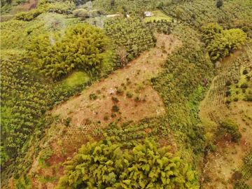 Finca Cafetera A La venta Vereda La Cristalina Circasia Armenia