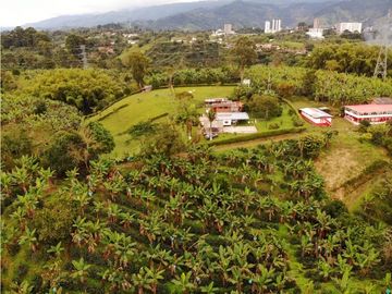 Finca Cafetera A La venta Vereda La Cristalina Circasia Armenia
