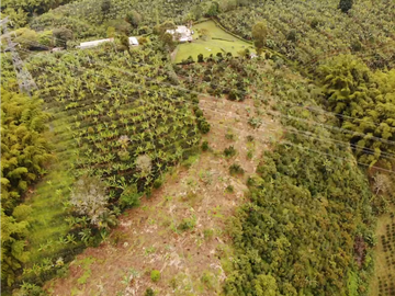 Finca Cafetera A La venta Vereda La Cristalina Circasia Armenia