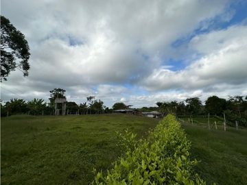 Finca Cafetera A La venta Vereda La Cristalina Circasia Armenia