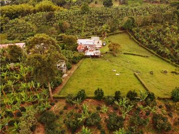Finca Cafetera A La venta Vereda La Cristalina Circasia Armenia