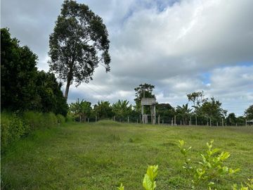 Finca Cafetera A La venta Vereda La Cristalina Circasia Armenia