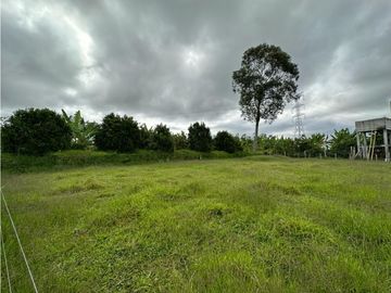 Finca Cafetera A La venta Vereda La Cristalina Circasia Armenia
