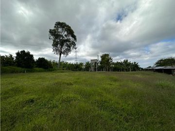 Finca Cafetera A La venta Vereda La Cristalina Circasia Armenia