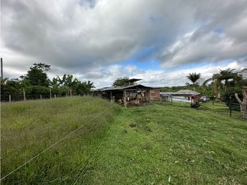 Finca Cafetera A La venta Vereda La Cristalina Circasia Armenia