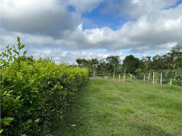 Finca Cafetera A La venta Vereda La Cristalina Circasia Armenia