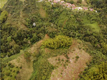 Finca Cafetera A La venta Vereda La Cristalina Circasia Armenia
