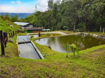 Finca en Venta en Cocorná