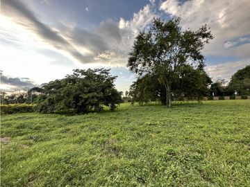 Se Venden Lotes y Haciendas Campestres La Tebaida