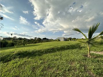Se Venden Lotes y Haciendas Campestres La Tebaida