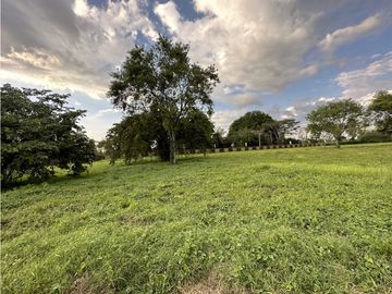 Se Venden Lotes y Haciendas Campestres La Tebaida