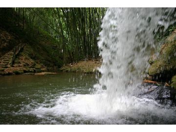 Venta Finca Hotel Turística - Lote 32400 m2 Sector Tebaida