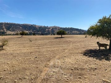 Agrícola en Venta en Limavida comuna de Curepto